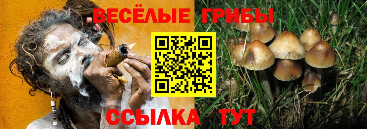 купить наркотик  Галлюциногенные грибы Cubensis  Вход с VPN  Гатчина  Псилоцибиновые грибы MAGIC MUSHROOMS 